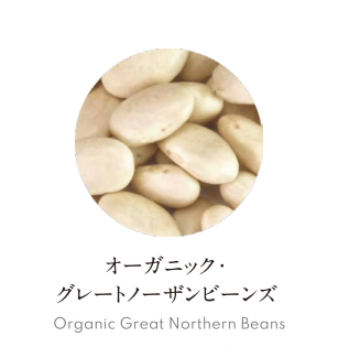 有機グレートノーザンビーンズ(白いんげん)2㎏ (アメリカ産) | アルマテラ お取引先様向け 注文サイト
