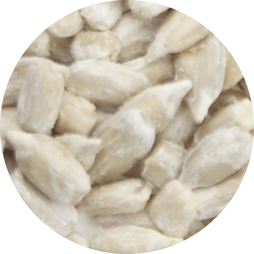 有機サンフラワーシード 25kg　(ブルガリア産)